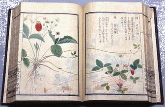 chinese herbal text